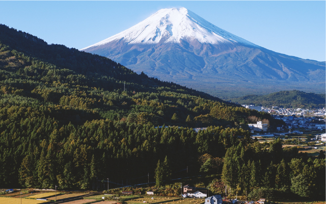 地域の雇用創出・活性化